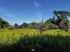 1.5 Acres McManis Road Knox County Home Listings - Joe Conkle Real Estate