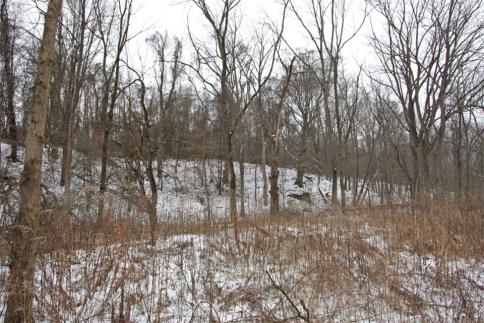 15.43 Acres on Keys and Columbus Roads Mount Vernon Ohio 43050