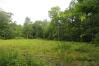 22 Acres on County Road 172 Knox County Home Listings - Joe Conkle Real Estate
