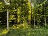 4.344 Acres on Feasel Road Knox County Home Listings - Joe Conkle Real Estate