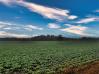 75.986 Acres Twp Road 114 Knox County Home Listings - Joe Conkle Real Estate