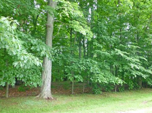 Lot 174 Apple Valley Subdivision Howard Ohio 43028 at The Apple Valley Lake